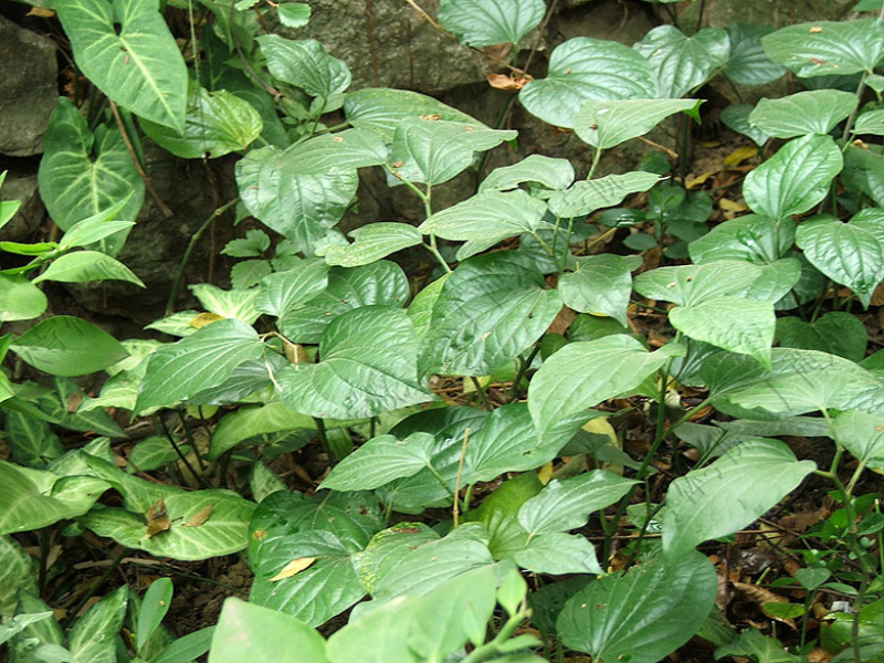 0415112826321.JPG