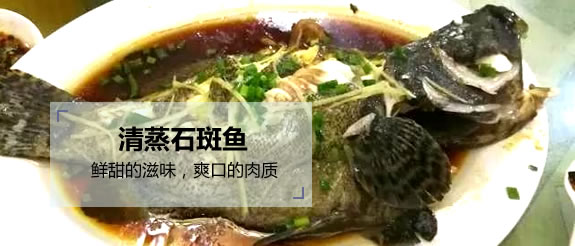 【DV现场】上川岛来了一班“吃货”......还秀起“范儿”