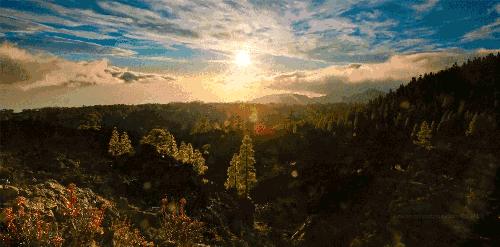 走进森林小镇——台山市川岛镇