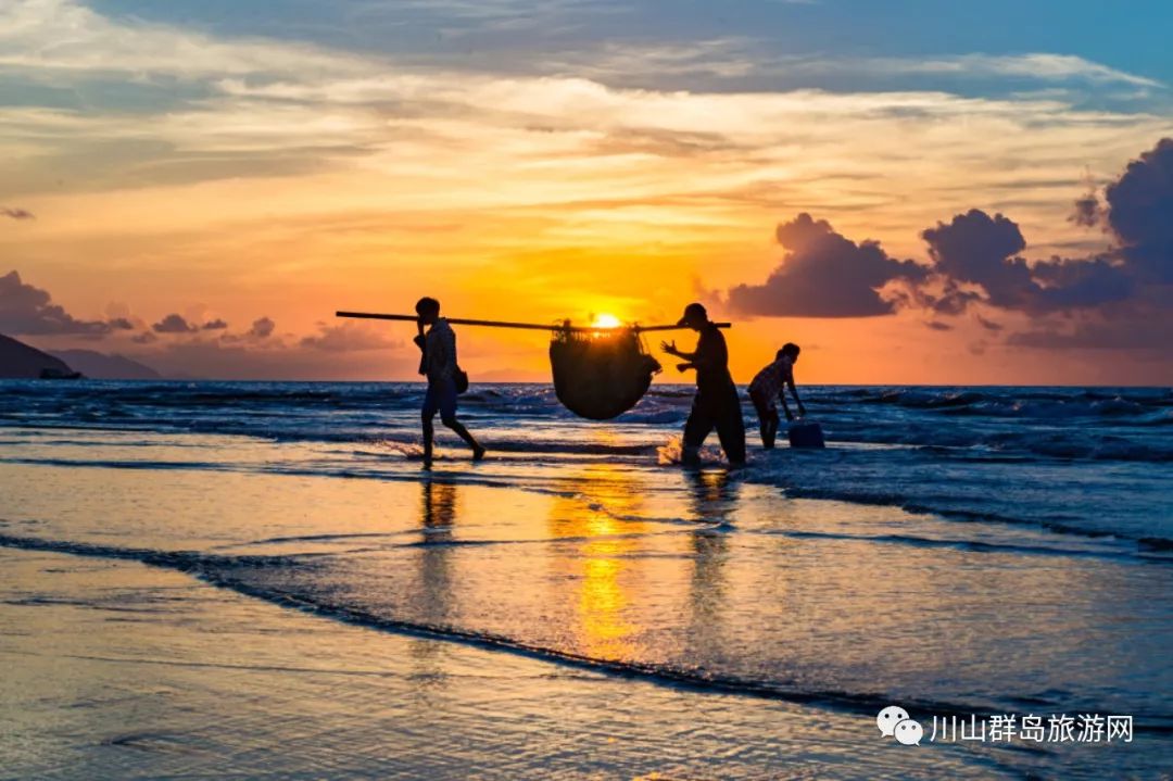 初夏，追寻"碧海芙蓉"的第一缕阳光