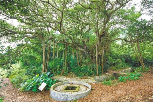 夫妻树和旺子井